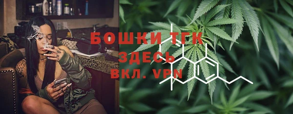 молекула духа Надым