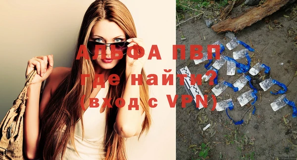 шишки Заводоуковск