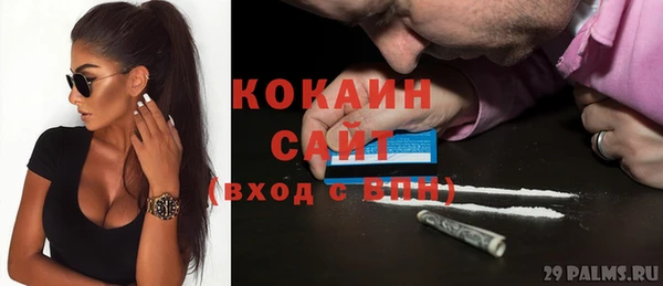 молекула духа Надым