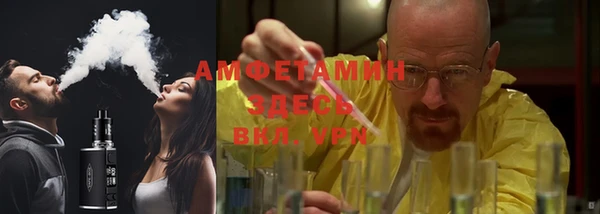 шишки Заводоуковск