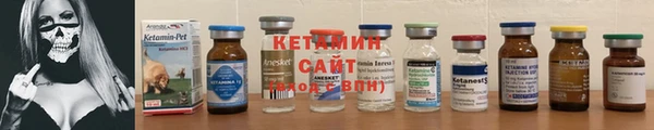 шишки Заводоуковск