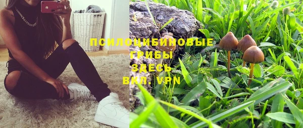 молекула духа Надым