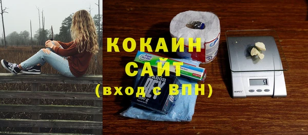 дживик Зеленодольск