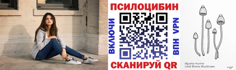 Псилоцибиновые грибы MAGIC MUSHROOMS  купить   Дорогобуж 