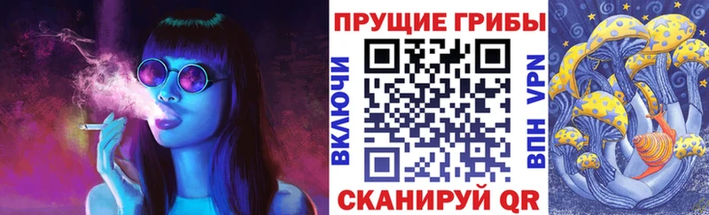 Галлюциногенные грибы ЛСД Дорогобуж